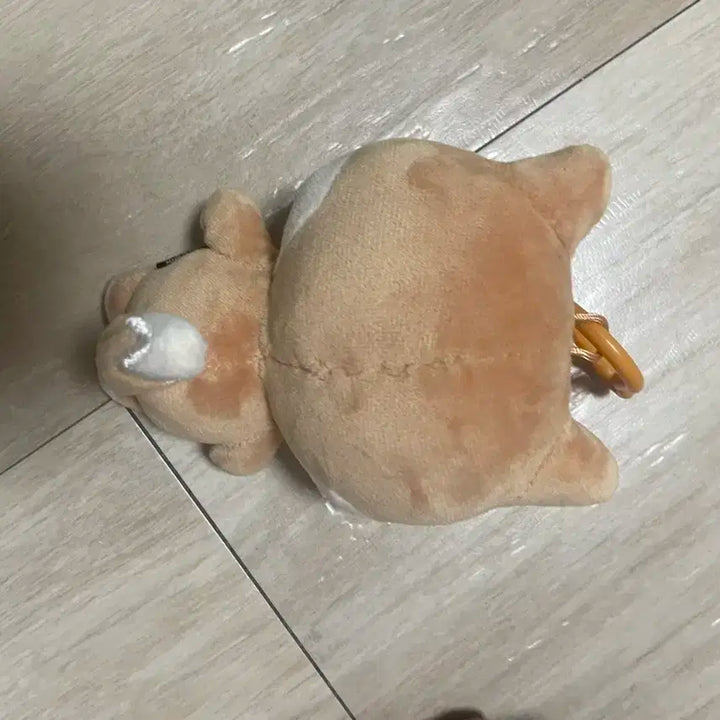 데니멀즈 2024 케