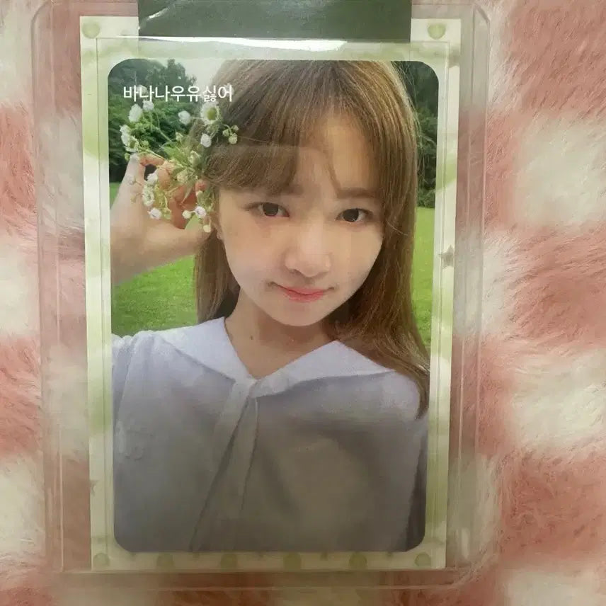 아이브 애프터라이크 레이 공카 이벤트 당첨 포토카드 양도합니다