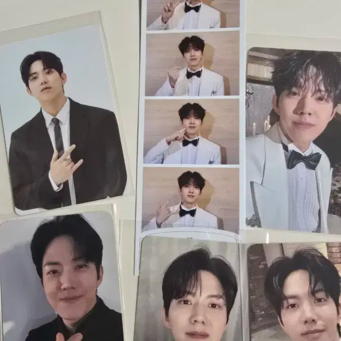 데이식스 도운 포카 일괄