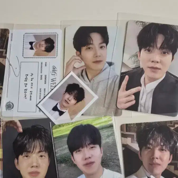 데이식스 도운 포카 일괄