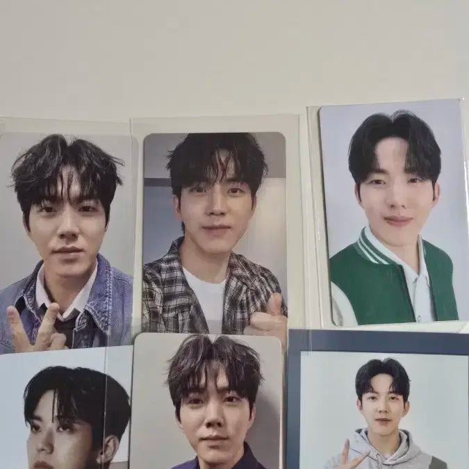 데이식스 도운 포카 일괄