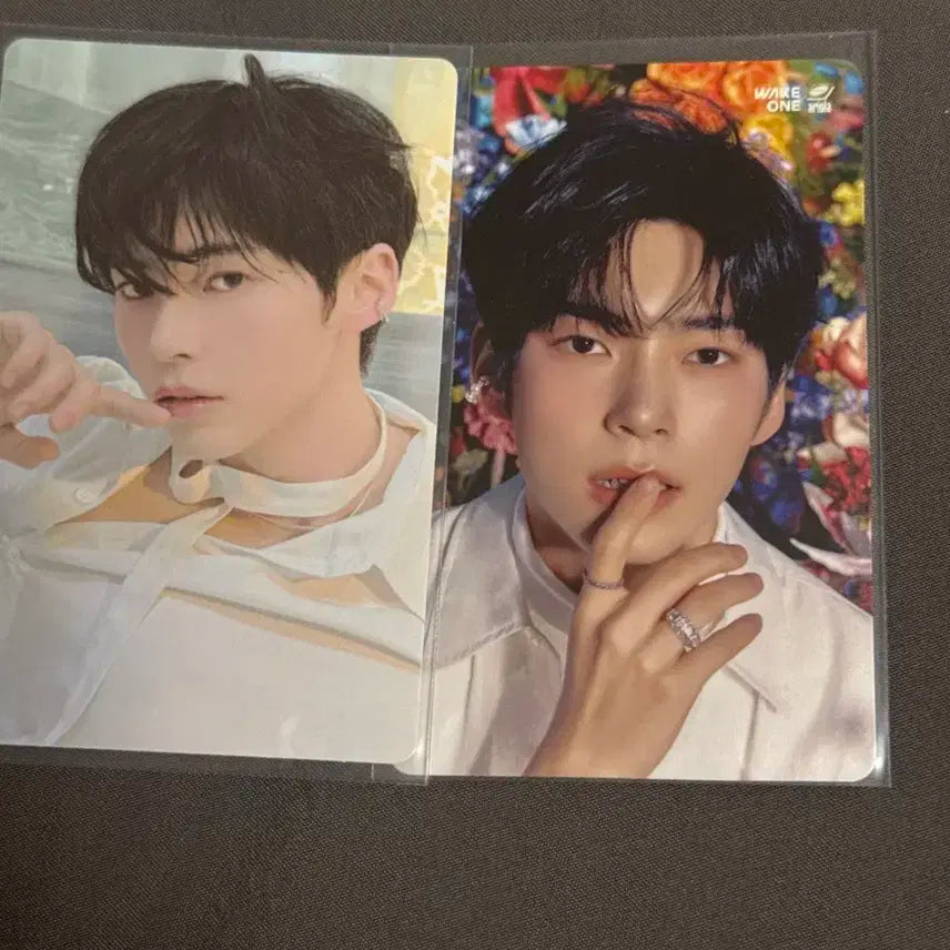 제로베이스원 제베원 미공포 특전 포카 일괄 양도합니다 성한빈