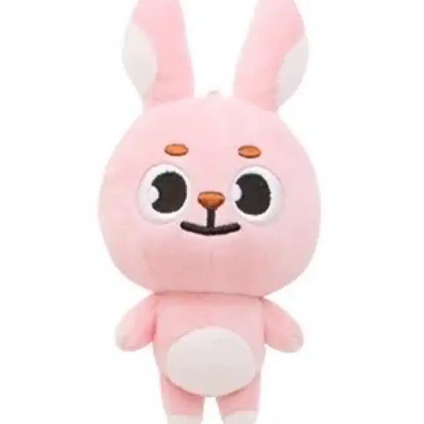 데이식스 원필 인형 20필끼