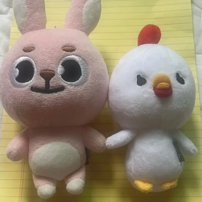 데이식스 원필 인형 20필끼