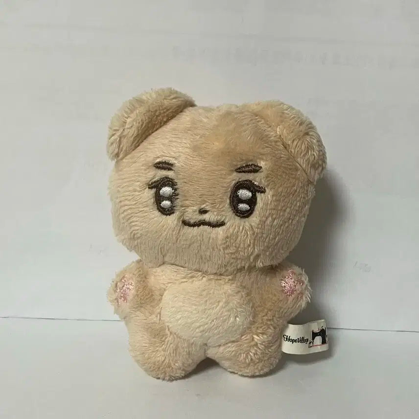 (급처)제로베이스원 김규빈 인형 멍빈이
