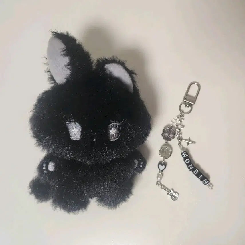 라이즈 원빈 10cm 인형 묘묘삔 비즈키링
