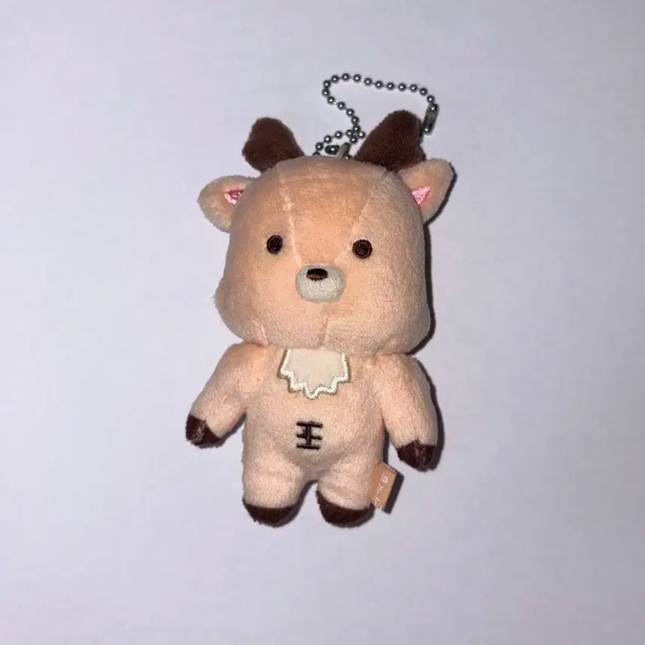 라이즈 우락밤 판매