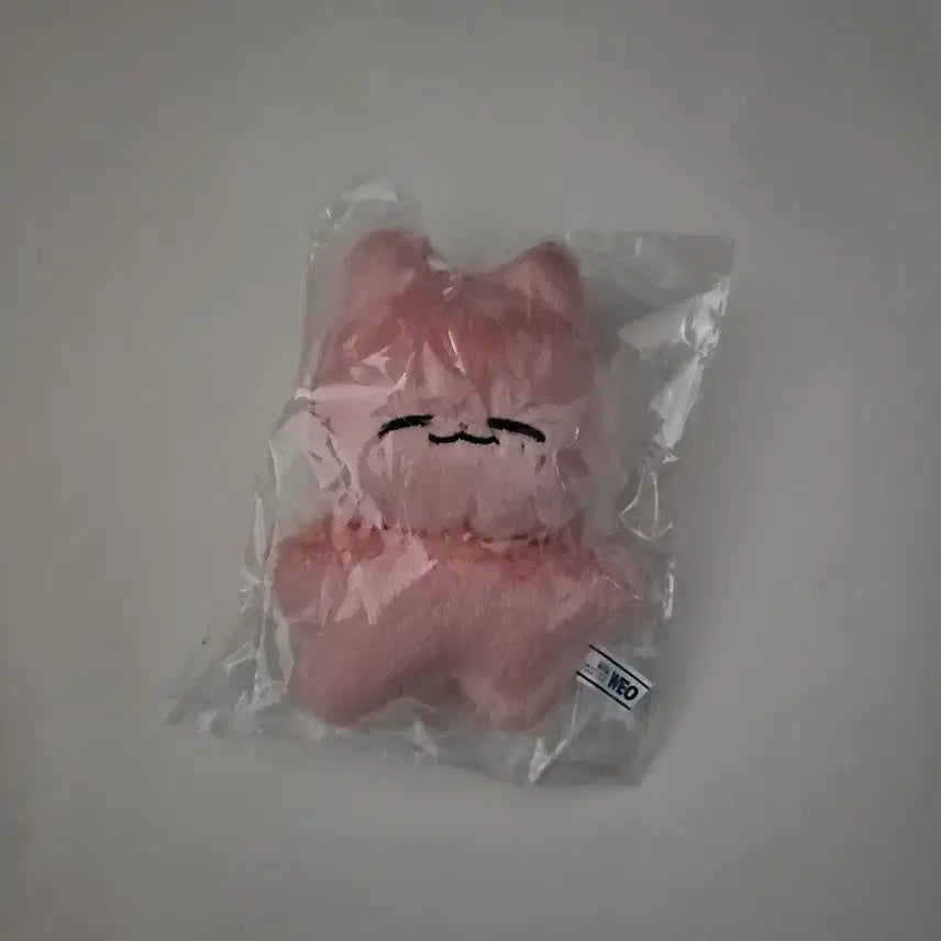 nct 재현 인형 잰냥이