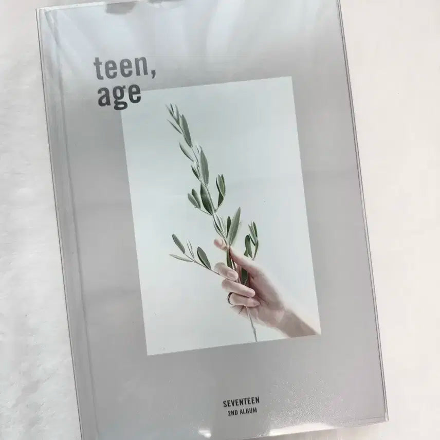 세븐틴 박수화이트 박화앨범 포카포함 양도