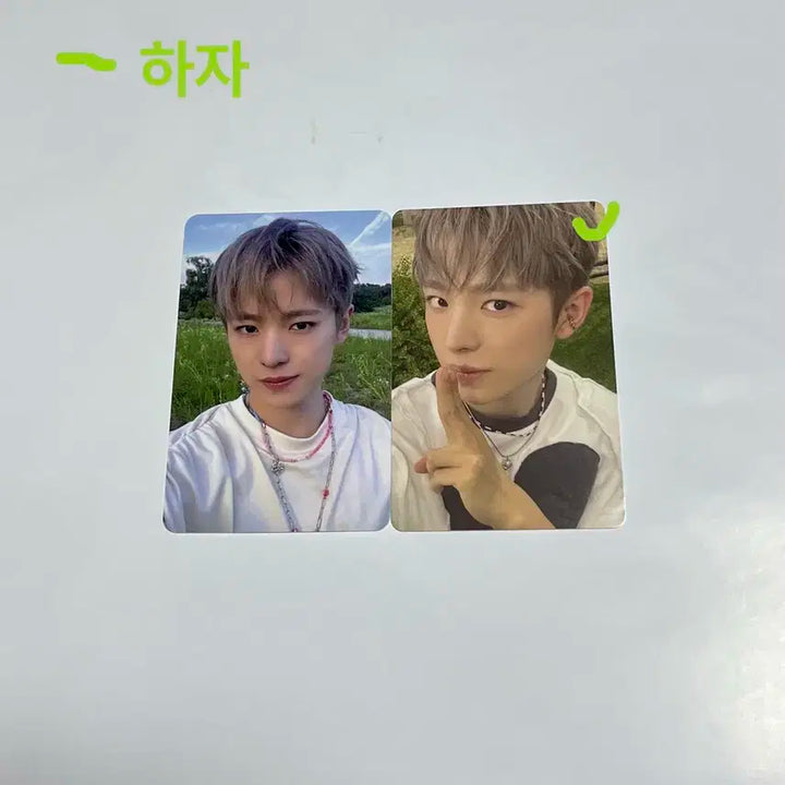 엔시티위시 컬러유우시포카 일괄양도 (팝팝유우시)