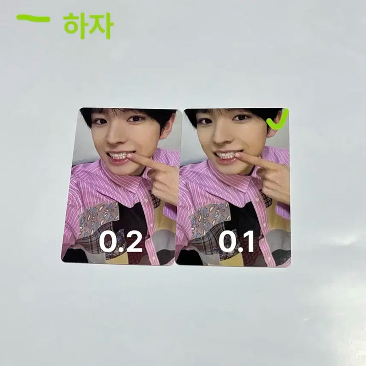 엔시티위시 컬러유우시포카 일괄양도 (팝팝유우시)