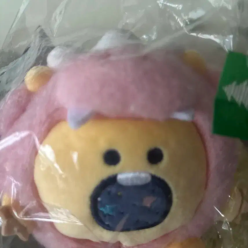 용 버전 포동이 팝니다