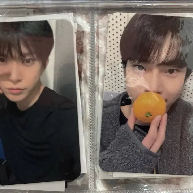 nct127 엔시티127 도영 포카 일괄 양도