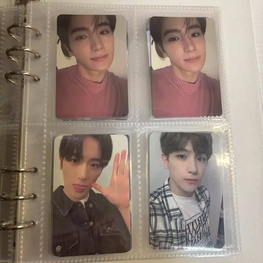 더보이즈 현재 포카 일괄 판매