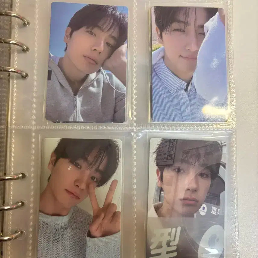 더보이즈 현재 포카 일괄 판매