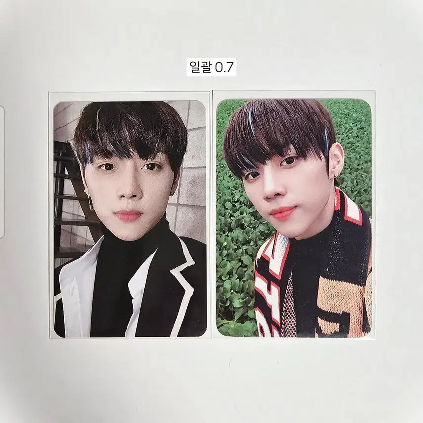 더보이즈 선우 노에어 포카 일괄