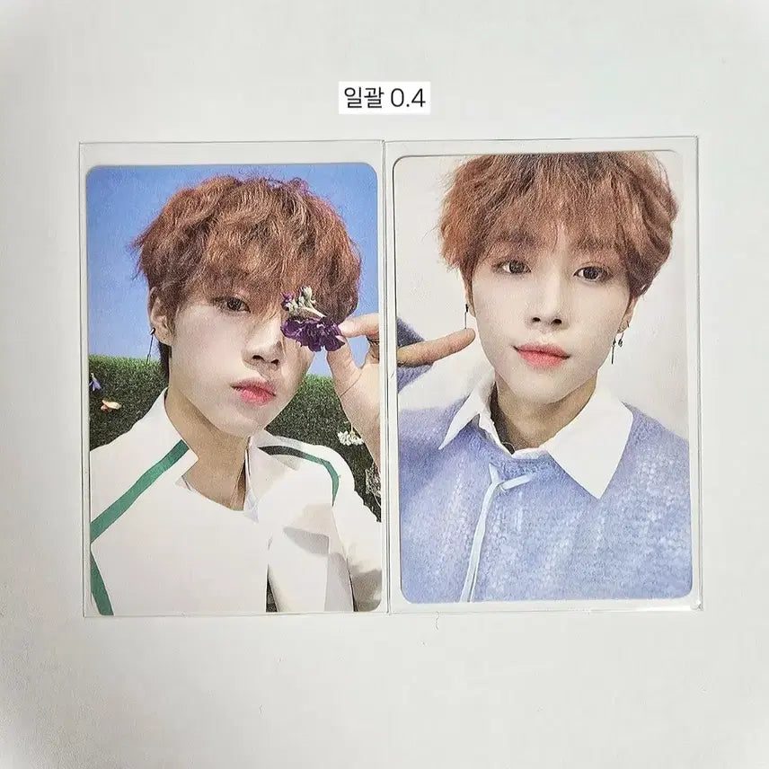 더보이즈 선우 블룸블룸 포카 일괄