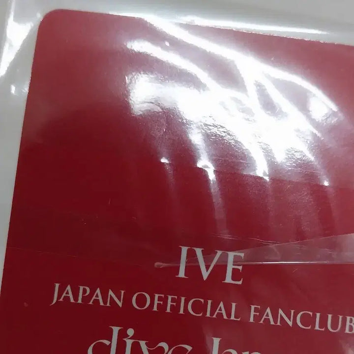 아이브 일본 팬클럽 DIVE JAPAN 2024 연속 특전 다이브 재팬