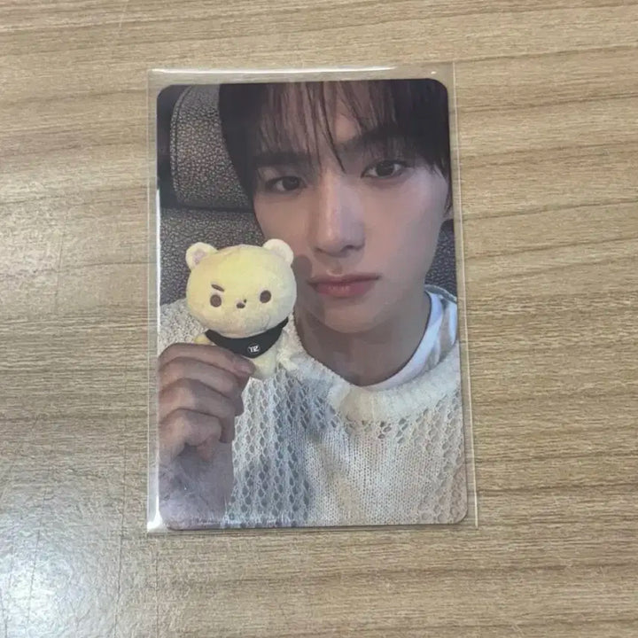 더보이즈 현재 공식 인형 곰곰이 포카 포함 양도
