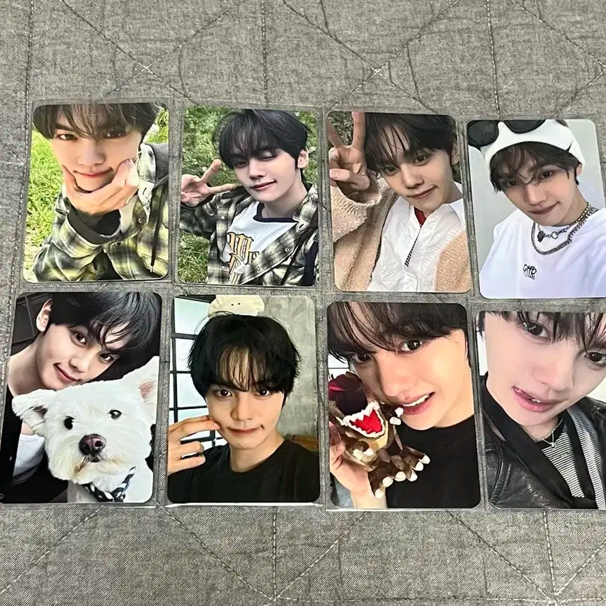 제베원 김규빈 포카 일괄 판매