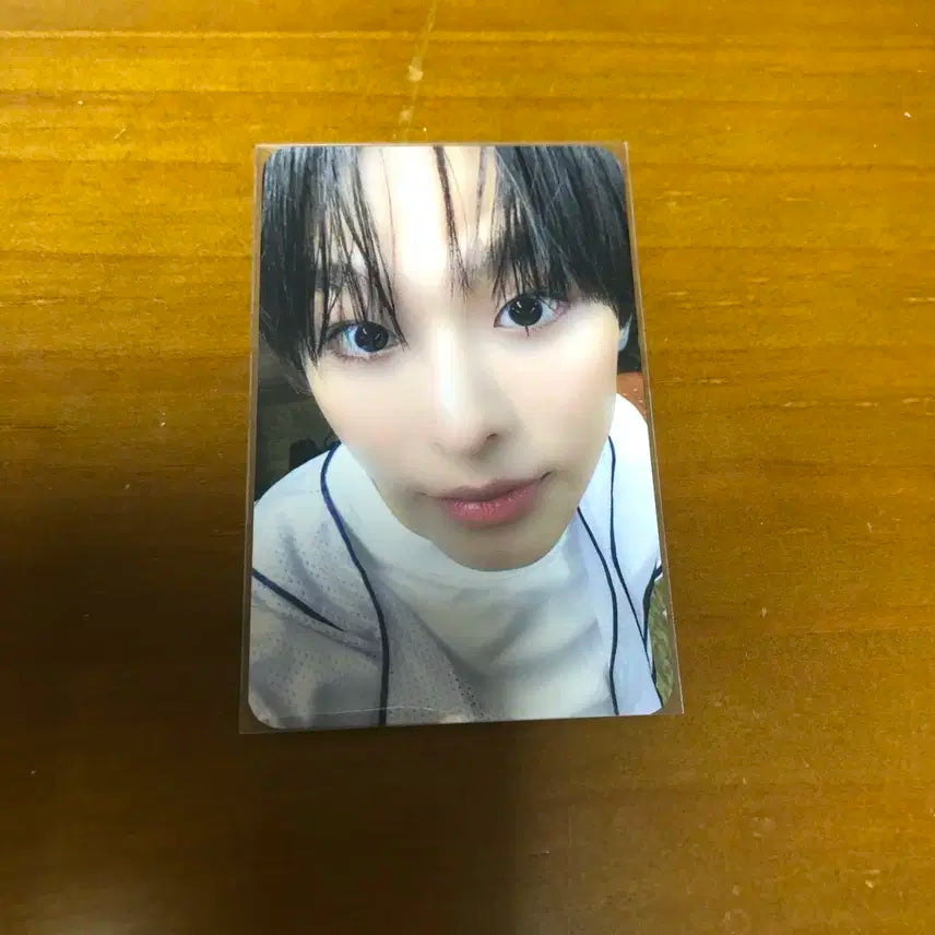 엔시티 위시 엔위시 리쿠 송버드 인터아시아 팬싸 포카 양도 판매 분철