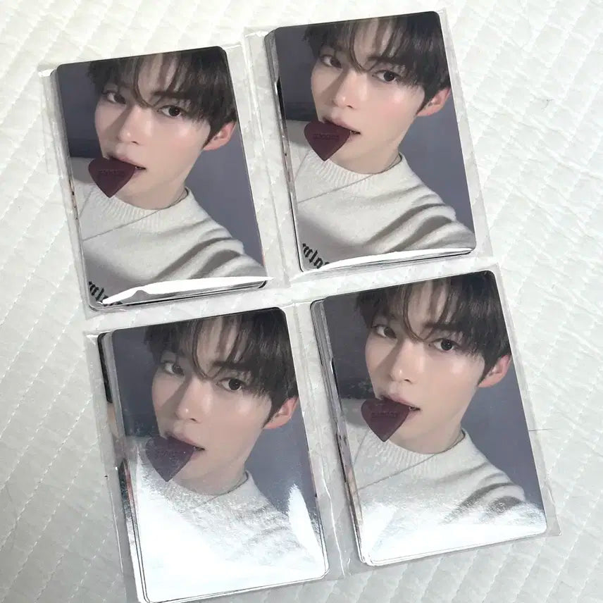 제로베이스원 제베원 zb1 로즈데이 쿠키 포토카드 포카 성한빈 장하오