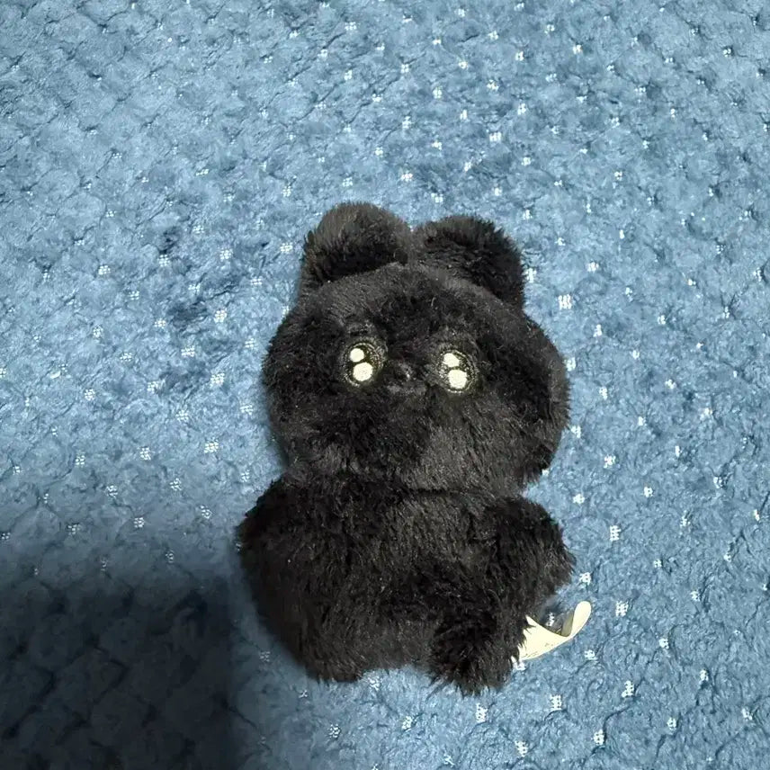 앰퍼샌드원 나캠든 인형