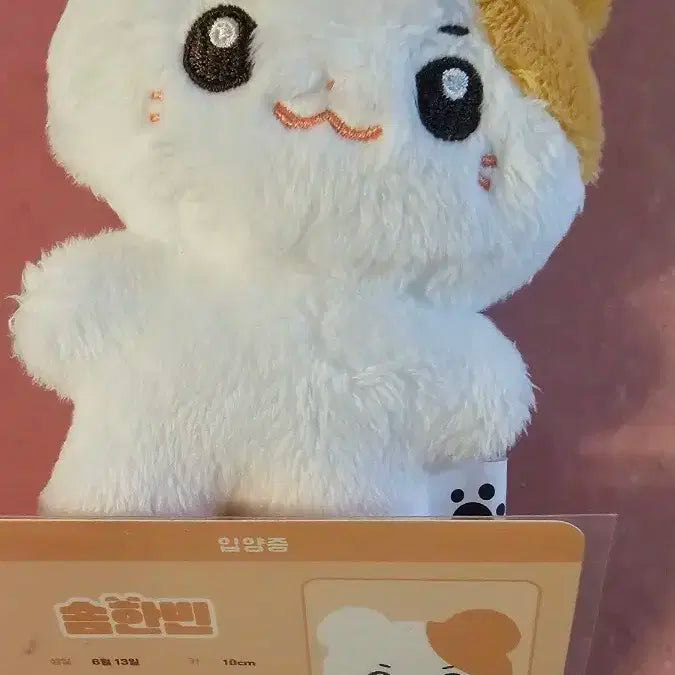 솜한빈 인형