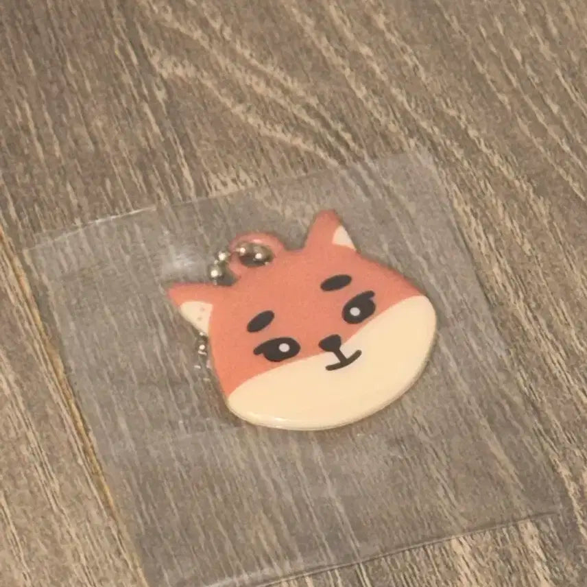 데이식스 zip 케키링