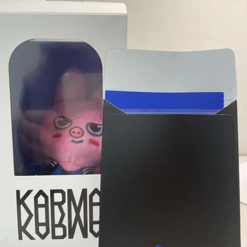 스키즈 카르마 스키주 일괄 양도