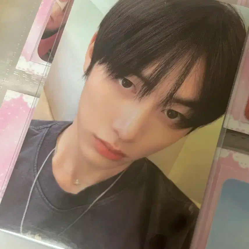 크런치 보넥도 태산 앨포 양도