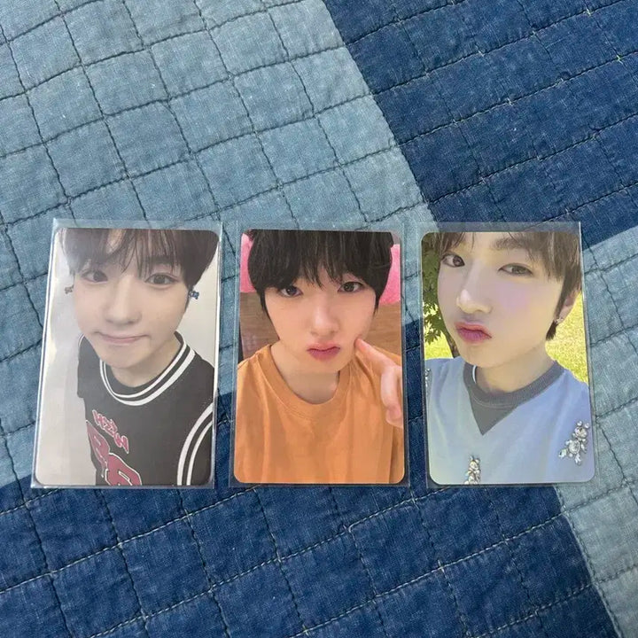 엔시티 위시 사쿠야포카 3개세트 컬러 애플뮤직 미공포 스테디 송버드