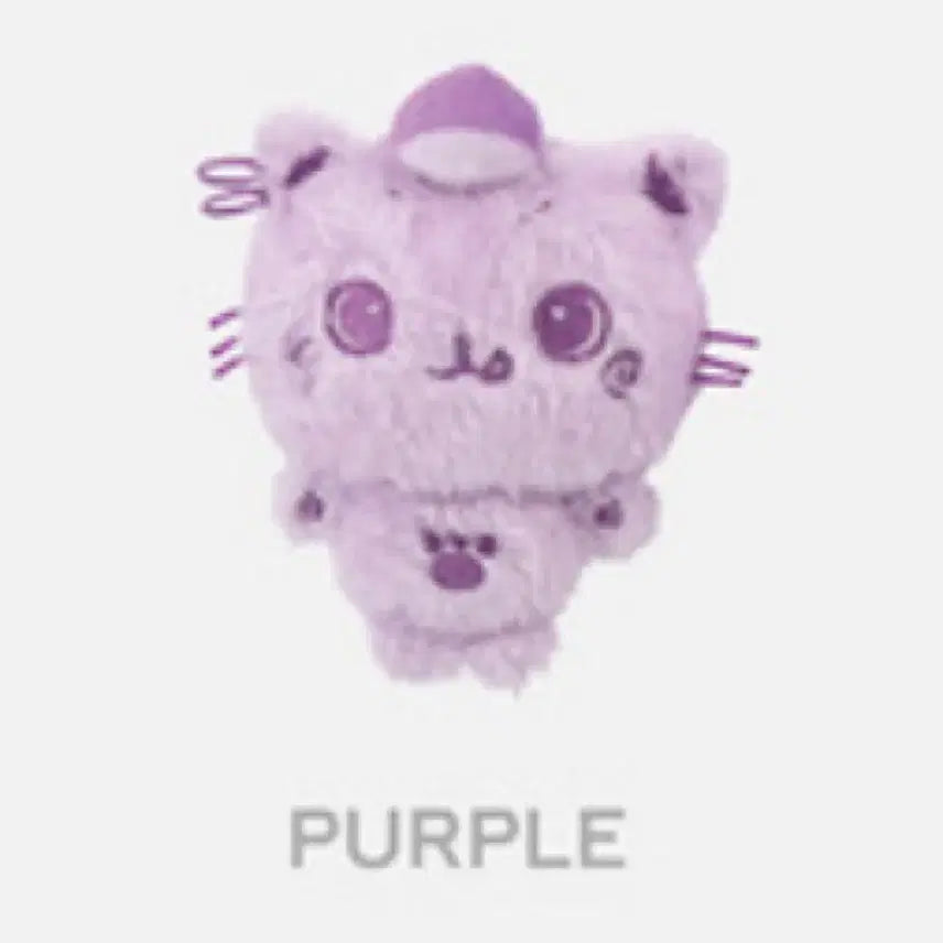 컬러 위시돌 쿠리 보라 퍼플 양도 팝업 리쿠 엔시티 위시