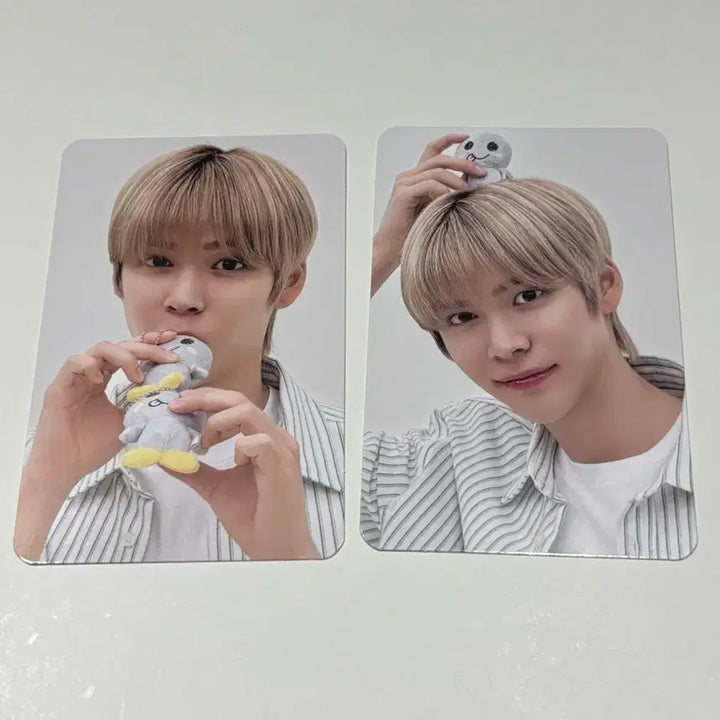 라이즈 라이징데이 팬콘 MD 포카 트레카 은석 송용돌이