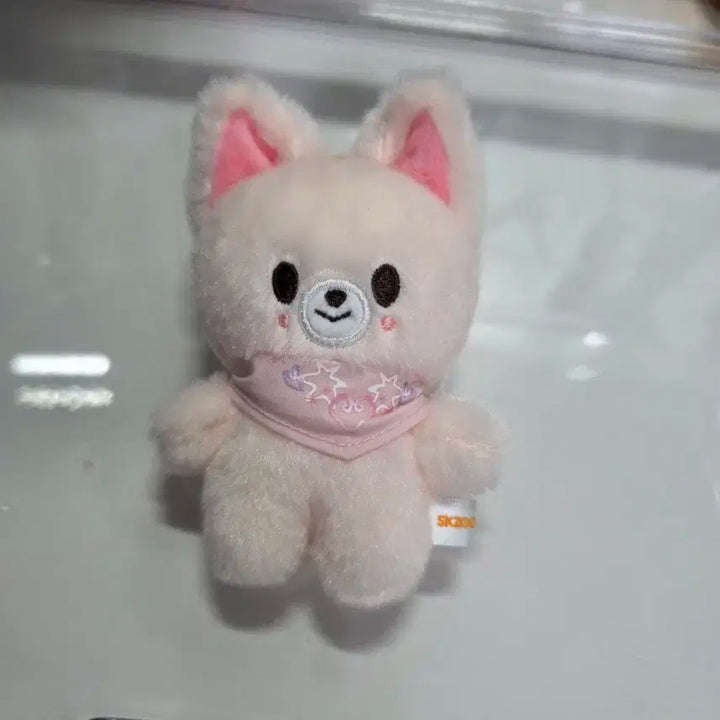 폭시니 10cm 콩키주 인형 스키주 아이엔 스키즈 5기 팬미팅