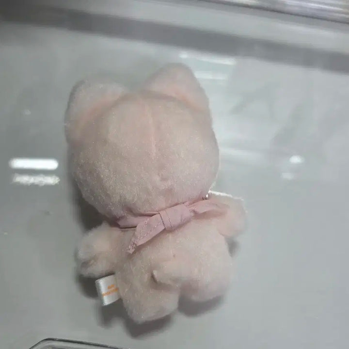 폭시니 10cm 콩키주 인형 스키주 아이엔 스키즈 5기 팬미팅