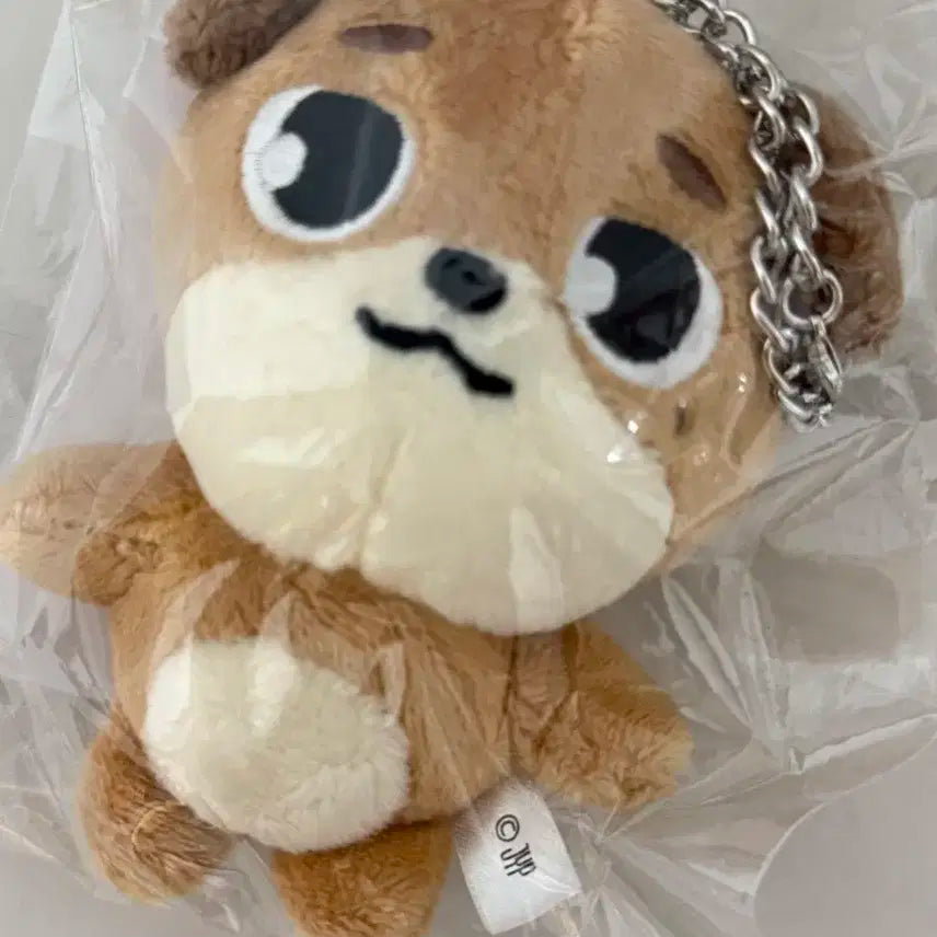 데이식스 데니멀즈 돈 도운 백참 미개봉