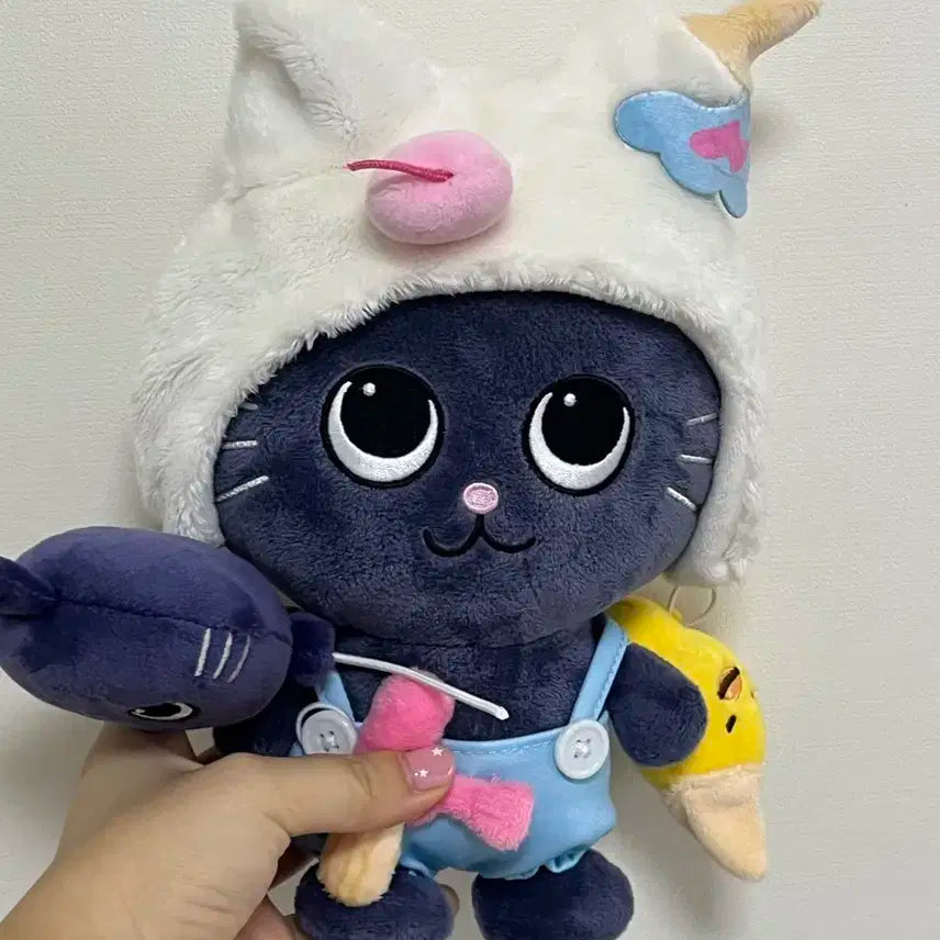 라이즈 원빈 토냥덕
