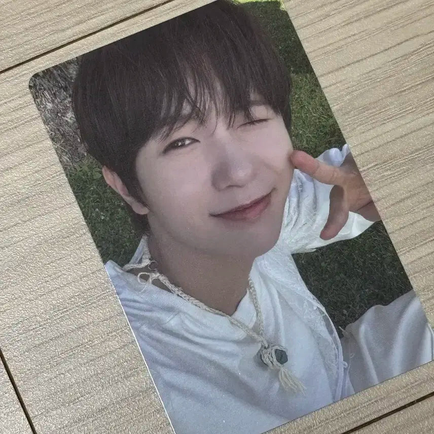 엔시티위시 료 포카 양도 컬러 서프 앨범