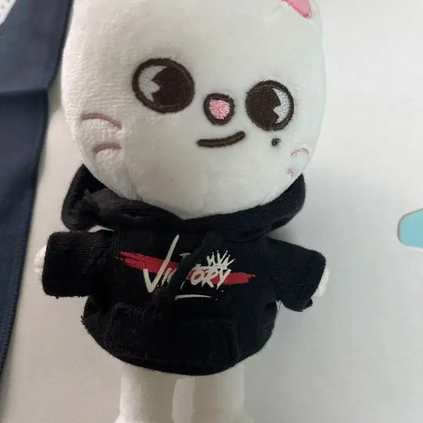 미니 스키주