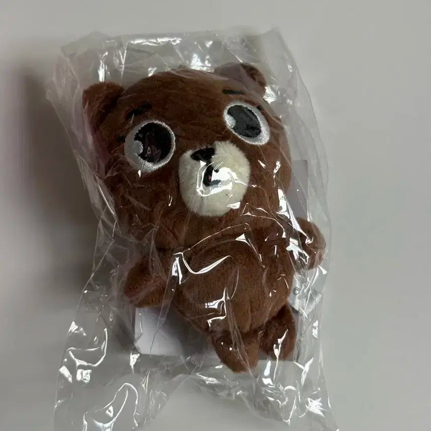 데이식스 포에버영 일본 방 백참 미개봉