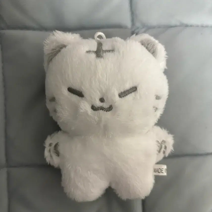 세븐틴 호시 호찌 양도