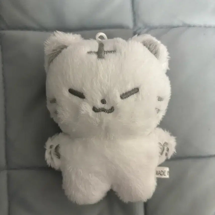 세븐틴 호시 호찌 양도