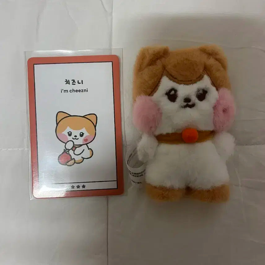 아이브 리즈 치즈니 인형