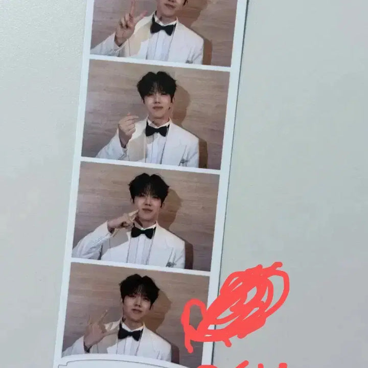 데이식스 도운 포토카드 7장