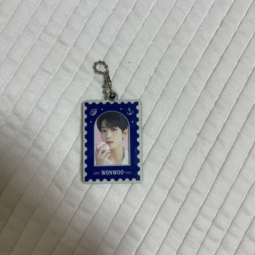 세븐틴 원우 증사 케이스