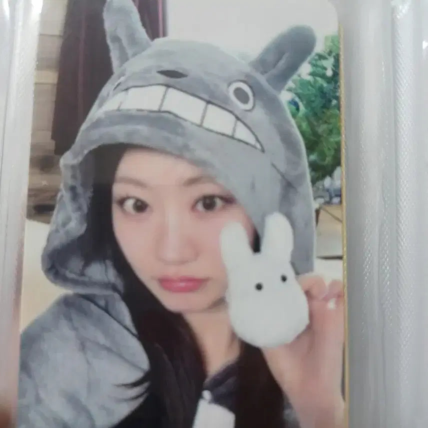 키스오브라이프 쥴리 토토로 미공포