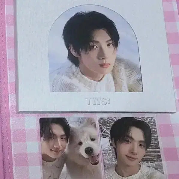 투어스 라스트벨 컴팩트 앨범 영재