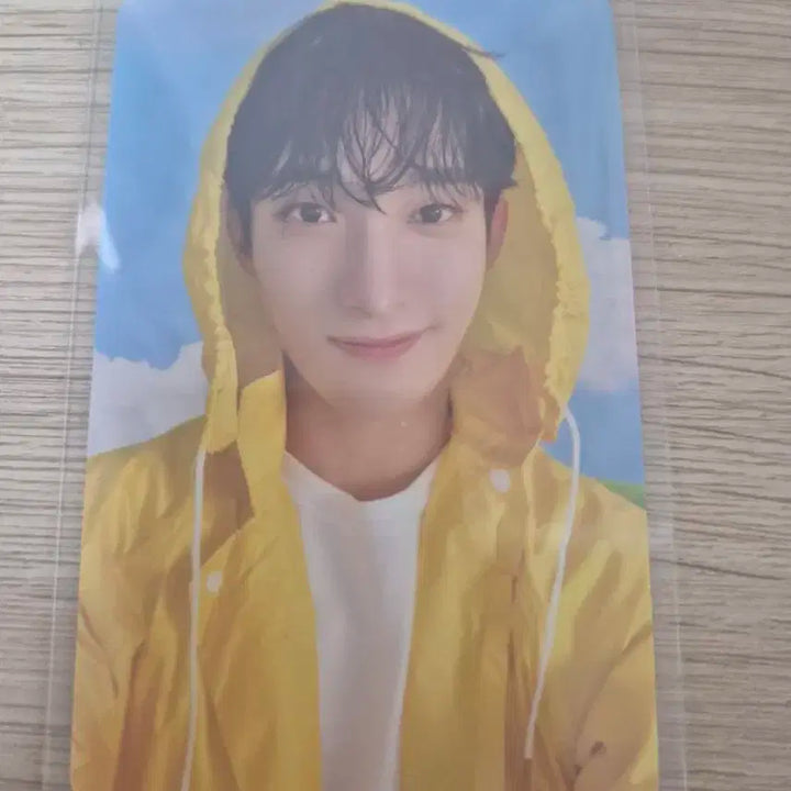 세븐틴 도겸 포토카드