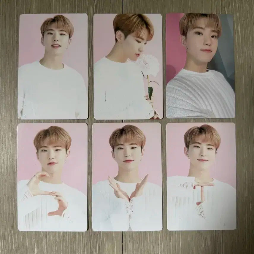 세븐틴 호시 포카 세븐틴카페 트레딩카드 일괄